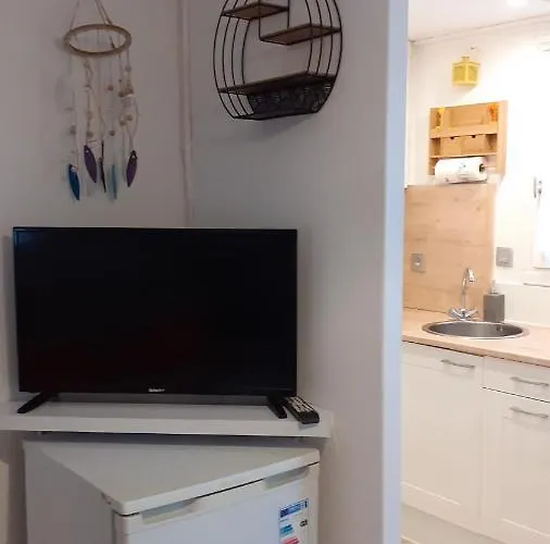 Location D'un Pavillon De Marseillan (Herault)